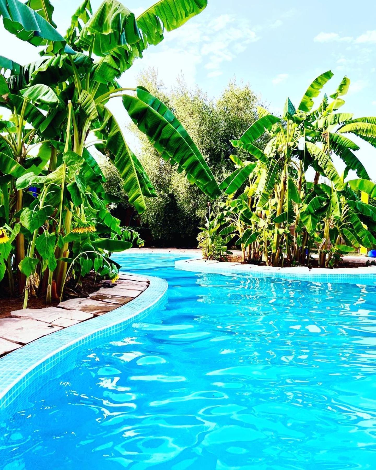 Le Domaine De Carole Marrakech Bed & Breakfast Douar Akkara Exterior photo