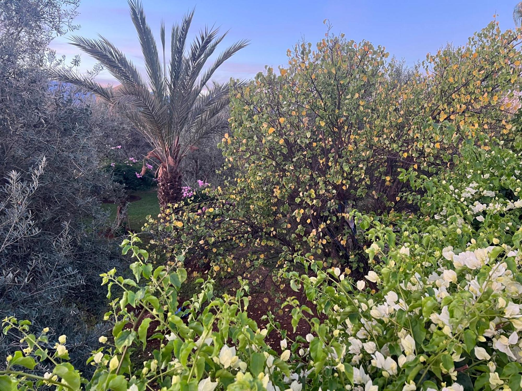 Le Domaine De Carole Marrakech Bed & Breakfast Douar Akkara Exterior photo