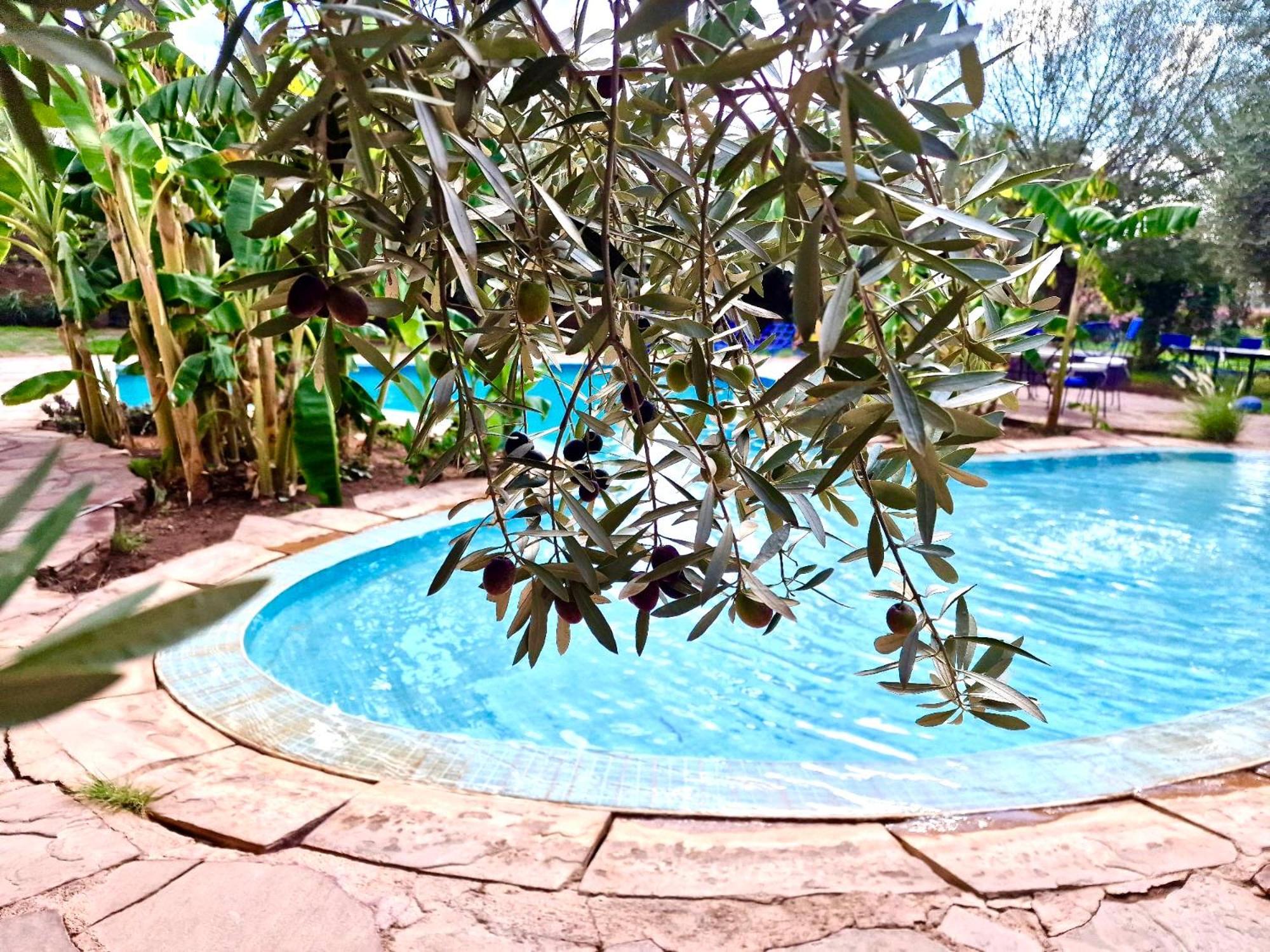 Le Domaine De Carole Marrakech Bed & Breakfast Douar Akkara Exterior photo